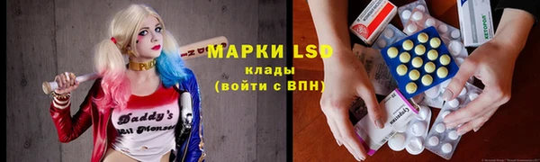 прущие грибы Беломорск