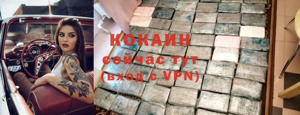 прущие грибы Беломорск