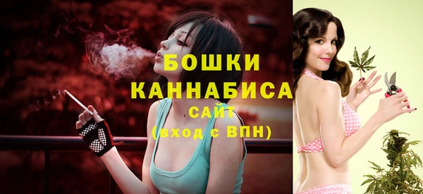 прущие грибы Беломорск